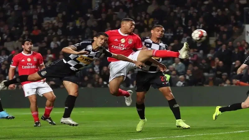 resized soi keo Benfica vs Boavista